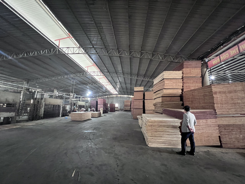 Plywood factory